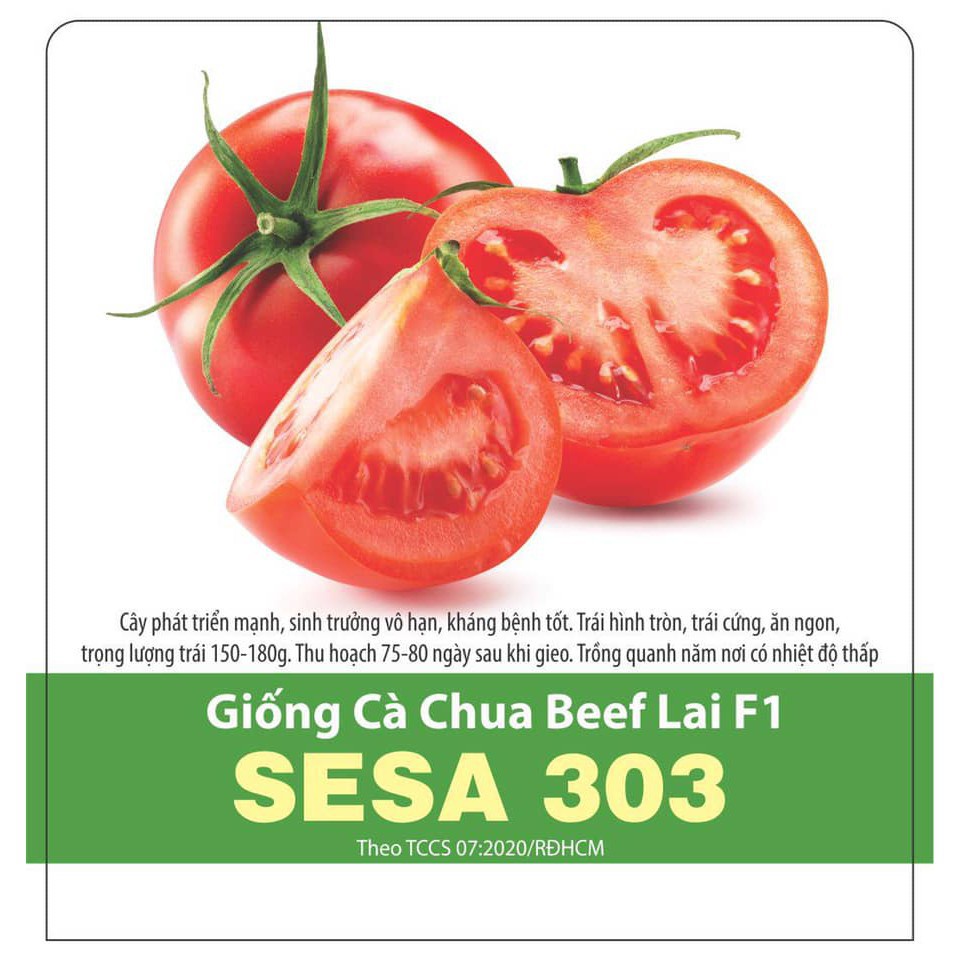 Hạt giống Cà chua beef lai F1 SESA 303, đóng gói 3 hạt