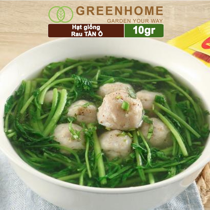 Hạt giống rau Tần ô, gói 10g, cải cúc dễ trồng, thu hoạch nhanh R02 |Greenhome