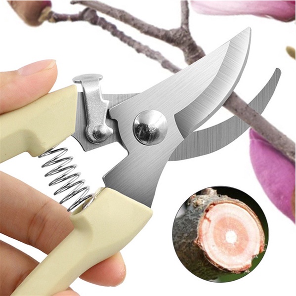Kéo cắt cành bằng thép không rỉ