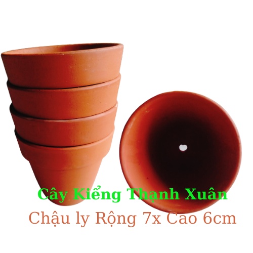 Chậu  Đất Nung Trồng Cây Sen Đá, Xương Rồng,  Kích Thước Rộng 7x Cao 6cm, Có Lỗ Thoát Nước
