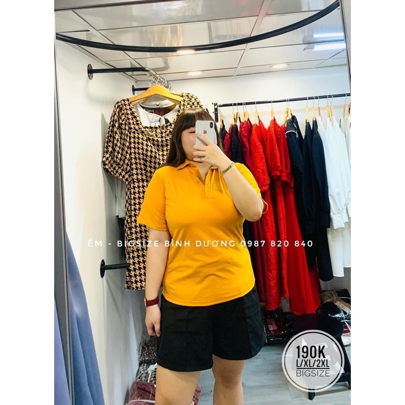 Áo Thun có cổ [Bigsize]