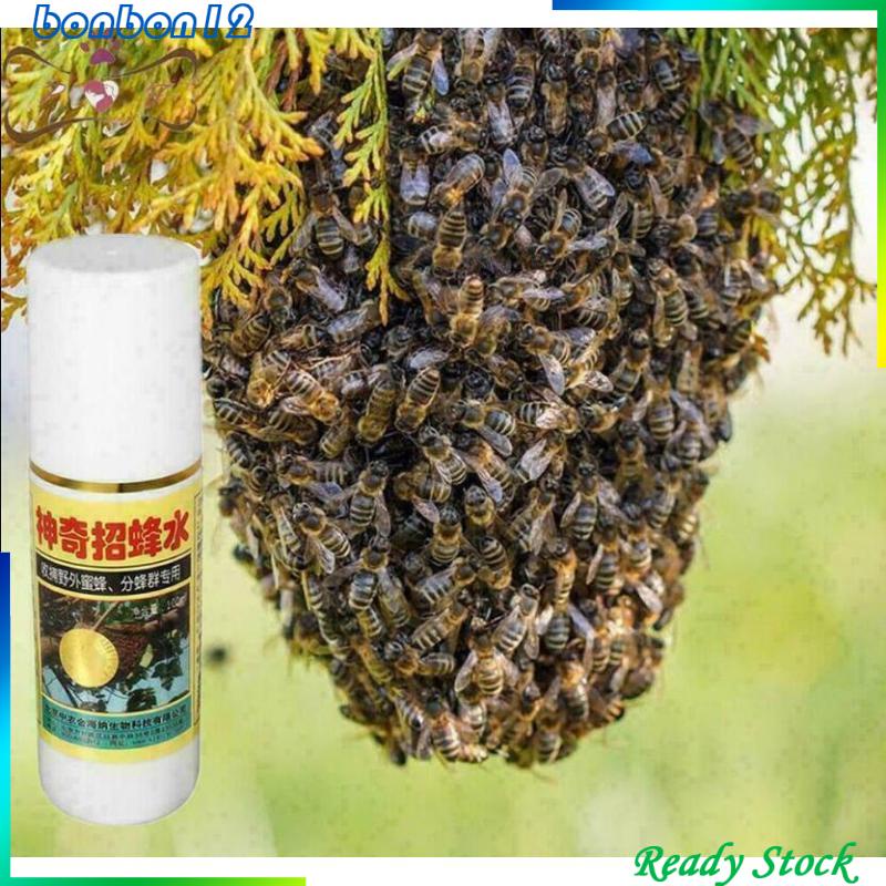 Mồi nhử ong lấy mật phổ biến hiệu quả