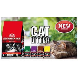 cat ve sinh cho meo 10lit