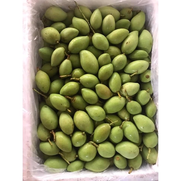 Xoài Bao Tử - Xoài non 1kg SHIP HOẢ TỐC 30’ NHẬN NGAY Ạ