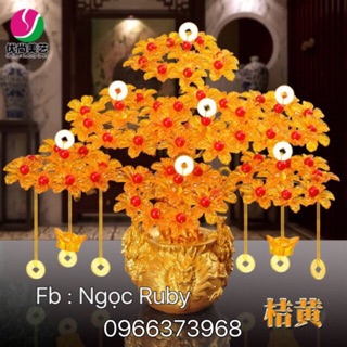 Cây mai tài lộc