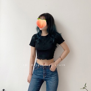 CROPTOP TĂM CỔ TRÒN (ảnh thật/sẵn)