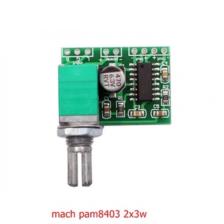 Mạch chế loa pam 8403 -2 kênh 3w