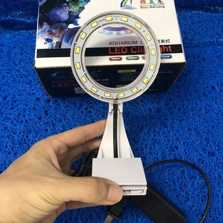 ĐÈN LED TRÒN XML TRẮNG - 3 MÀU KẸP BỂ CÁ