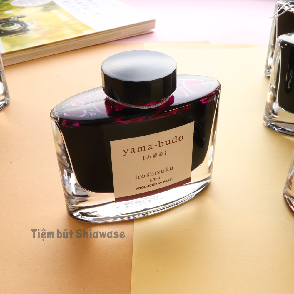 Mực Bút Máy Pilot Iroshizuku Hộp 50ml Chính Hãng Nhật Bản