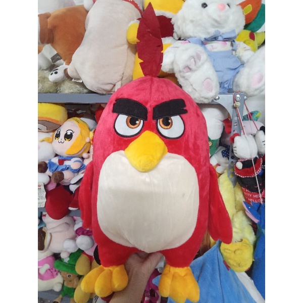 Gấu bông chym size 45-50cm