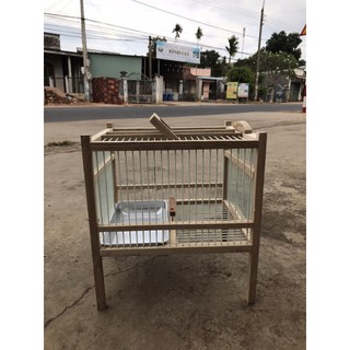 Lồng tắm chim chào mào