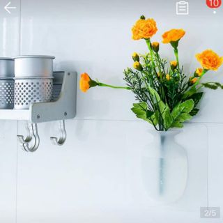Bình cắm hoa dán tường