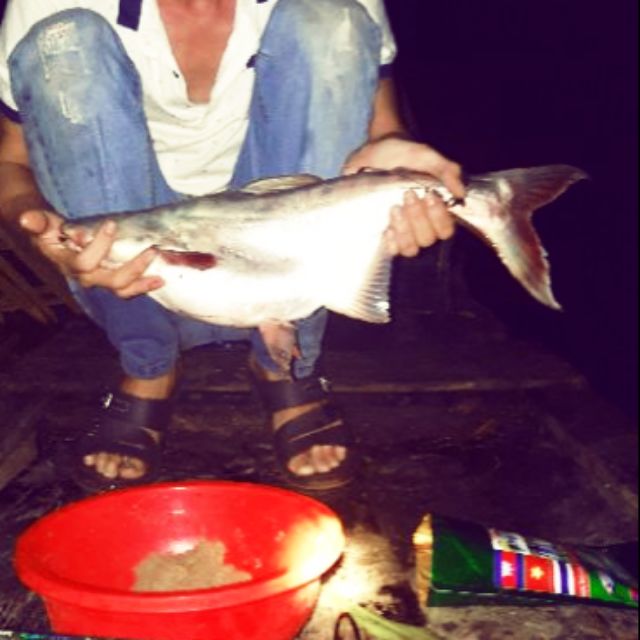 Cám chuyên câu cá tra,... cám thái nhập khẩu từ thái lan.