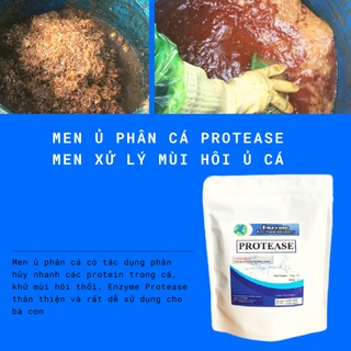 Men ủ phân cá Protease