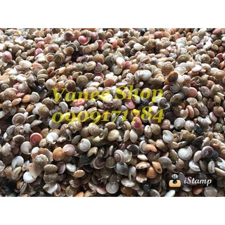 Vỏ ốc ruốc 100gr