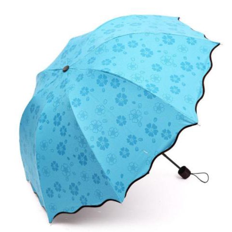 [SALE LỖ]Ô DÙ GẶP NƯỚC NỞ HOA MÀU XANH DƯƠNG