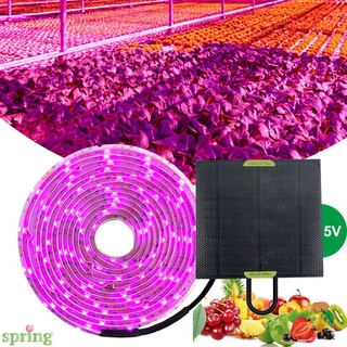 Dây đèn led trồng cây 5v 2835 sử dụng năng lượng mặt trời