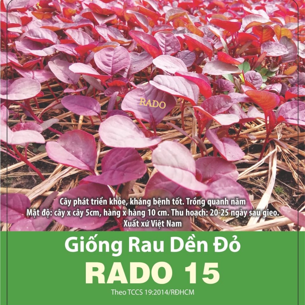 Hạt giống Rau Dền Đỏ RADO 15