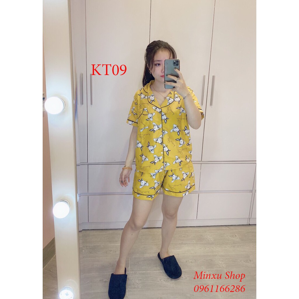 Bộ PIJAMA Tay Ngắn Quần Ngắn Mùa Hè - Chất Kate Thái Siêu Đẹp - Mẫu Mã Đa Dạng Độc Đáo Nhất