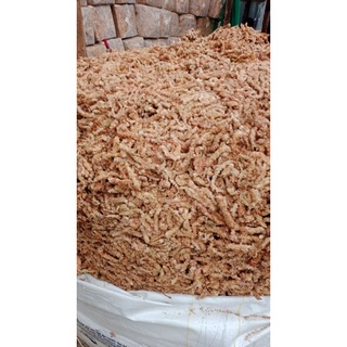 Rêu sâu Chile 100gr