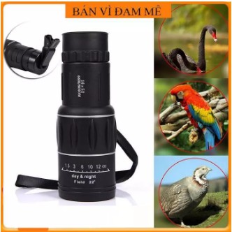 Ống nhòm Bushnell một mắt 16x52 (Đen) gia siêu hot | BigBuy360 - bigbuy360.vn