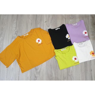 Áo thun croptop hoa cúc