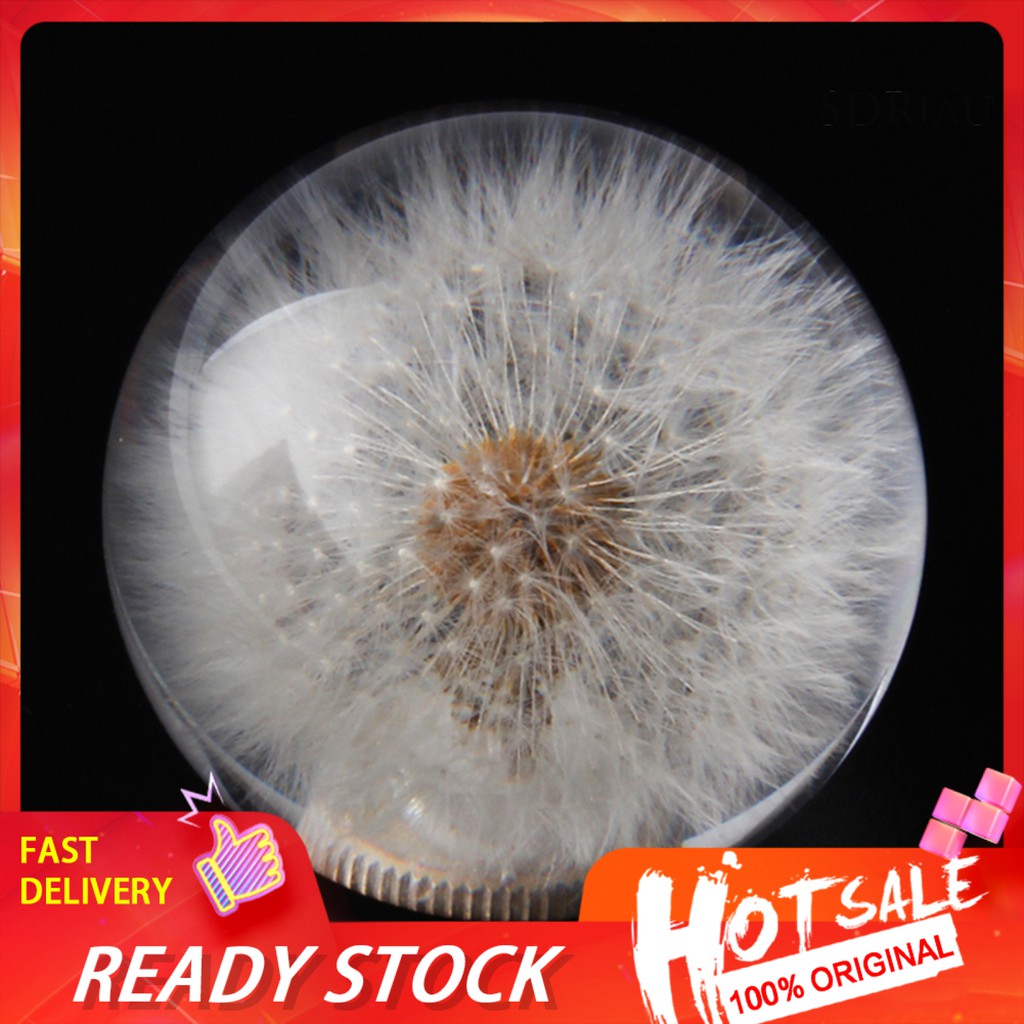 Tay Nắm Cần Số Xe Hơi Hình Hoa Bồ Công Anh Độc Đáo