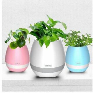 Loa ma mị cảm ứng