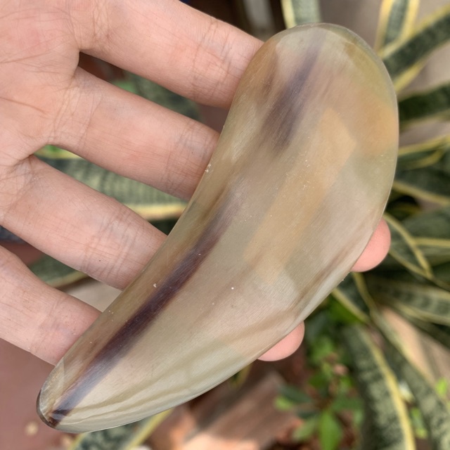 Cạo gió dẹp - THẺ ĐIỆN CHẨN BẰNG SỪNG -  chữa bệnh qua da trên vùng mặt và toàn thân HAHANCO MH829