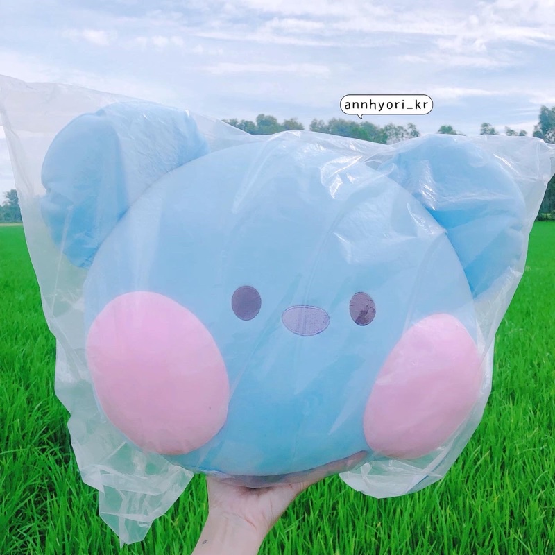 Gấu bông BT21 Koya minini official