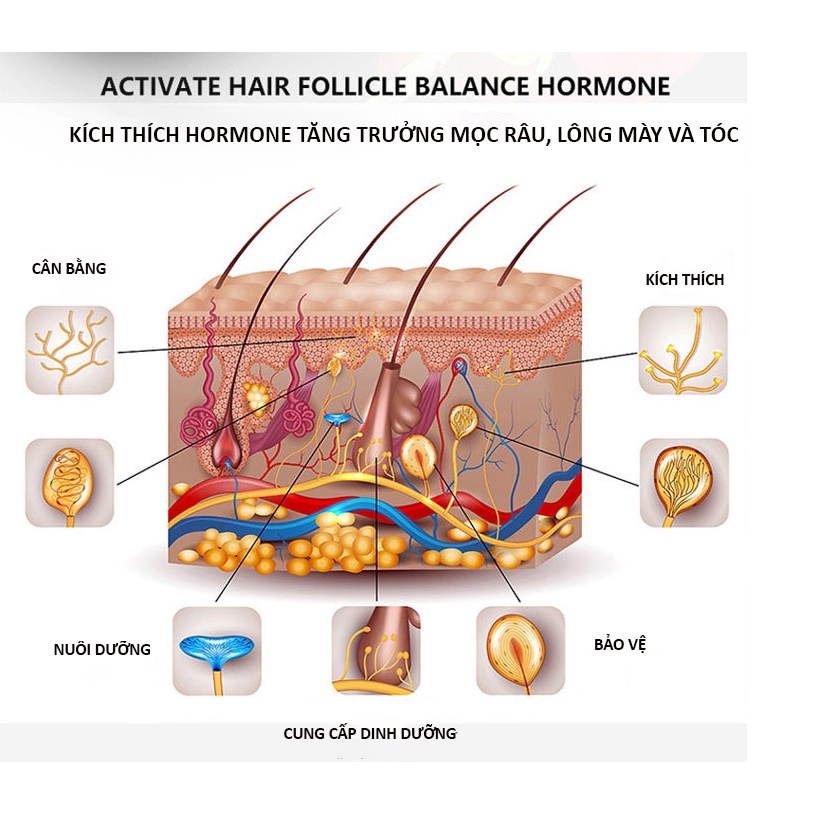 Tinh Chất Kích Thích Mọc Râu Và Tóc Beard Oil 10ml, Kích Thích Mọc Râu Và Ria Mép, Lông Mày Và Tóc Nhanh