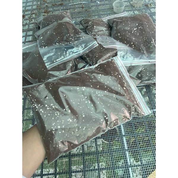 Xơ dừa mix đá perlite  giá thể trồng cây bắt mồi