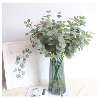 Nhành bạch đàn lá nhỏ - Lá giả