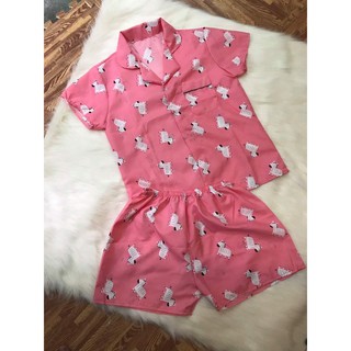 Bộ pijama Ngắn Hình Mới Chất Phi Lụa - Đồ bộ pijama