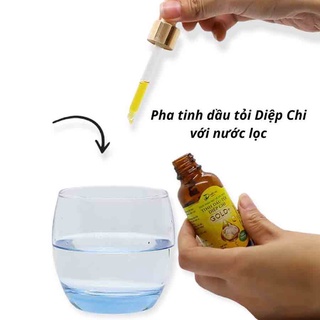 Dầu Tỏi Diệp Chi (giá sỉ 10 hộp)