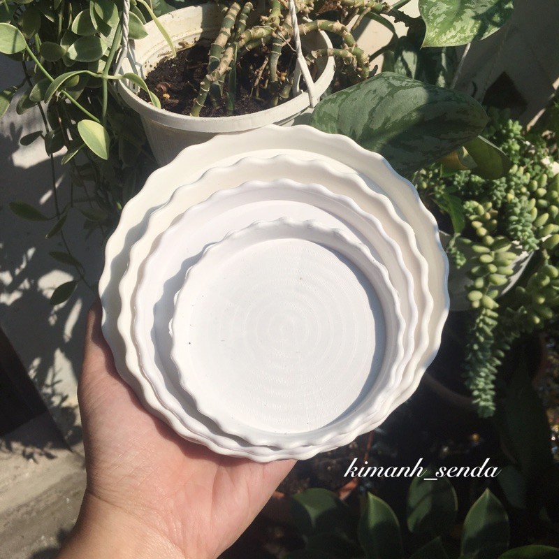 đĩa lót chậu cây bằng nhựa đủ size 9cm, 11cm, 13cm, 15cn