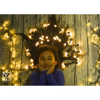 Đèn cherry lights decor dài 7m.