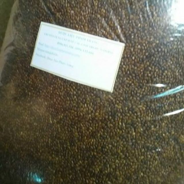 7kg hạt muồng chơi cho trẻ em