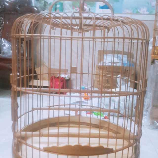 Khuyên sz 24