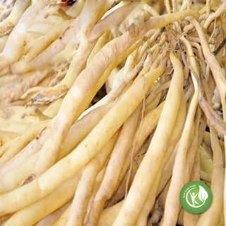 Củ Bách Bộ khô 1kg - ND104
