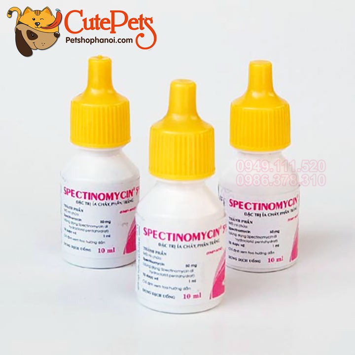 [Mã 254FMCGSALE giảm 8% đơn 500K] Đặc trị tiêu chảy Spectinomycin 5% 10ml dạng siro ngọt - CutePets