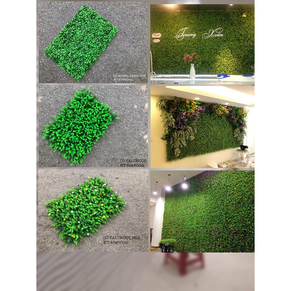 (Hàng loại 1) Cỏ tai chuội treo tường kích thước 40x60cm, thảm cỏ nhân tạo hcm