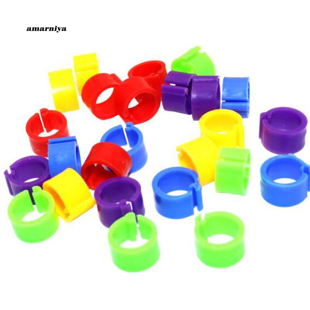 Bộ 100 nhẫn đeo chân 8mm cho chim bồ câu/ vẹt