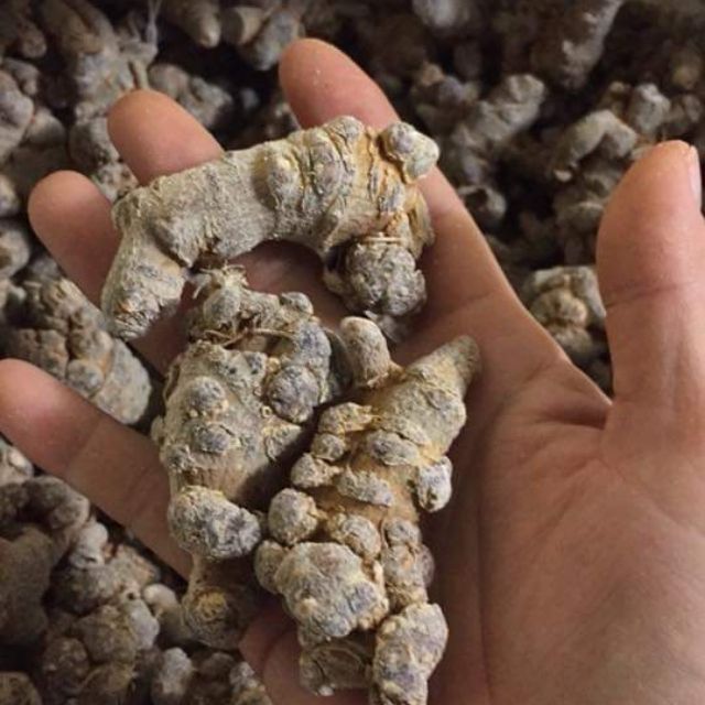 Tam Thất Bắc 200g