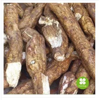 Cát căn (củ sắn dây) 1KG - TTD381