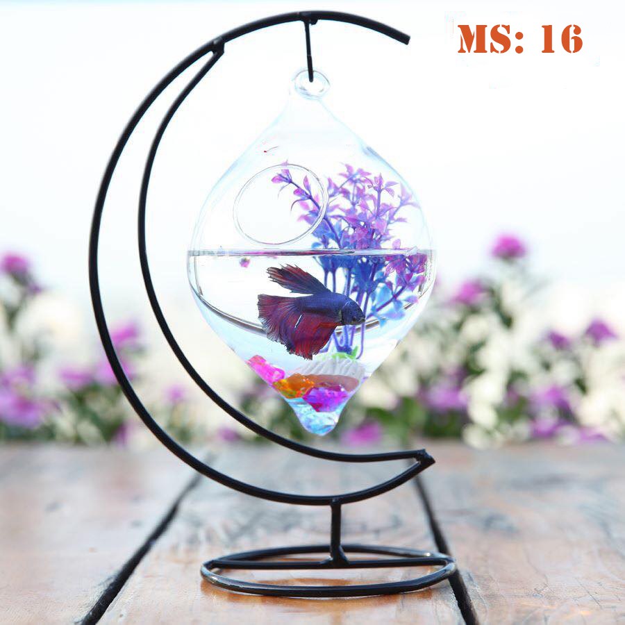 Bể cá mini - Cung Trăng, Bình giọt nước