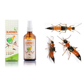 tinh dầu diệt kiến ba khoang,muỗi,gián