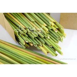 Ống hút cỏ Bàng khô (100+5 ống) [Đường kính lớn nhất thị trường]