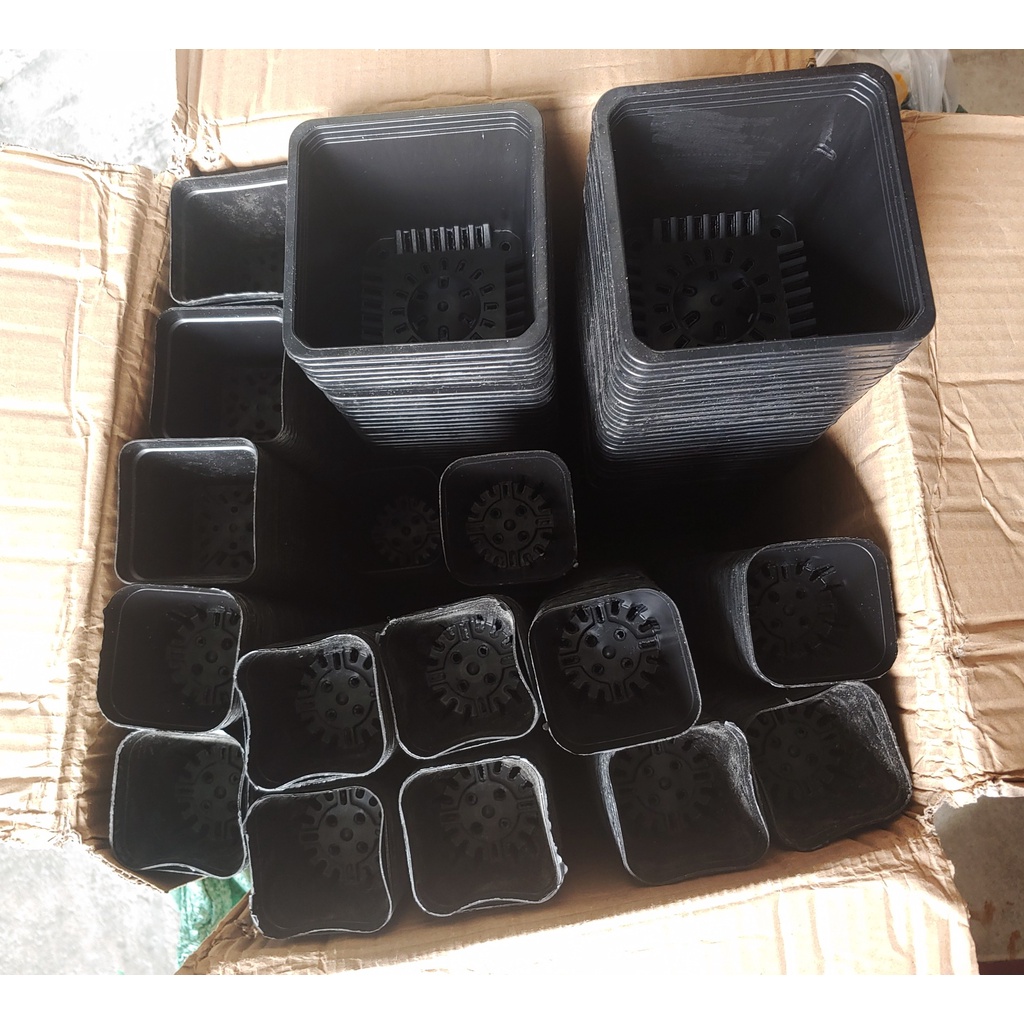 Châu Vuông Nhựa Đen Trồng Cây Sen Đá Cây Bắt Mồi Cây Ăn Thịt Nhiều Kích Thước 6.5 cm - 7cm - 15 cm