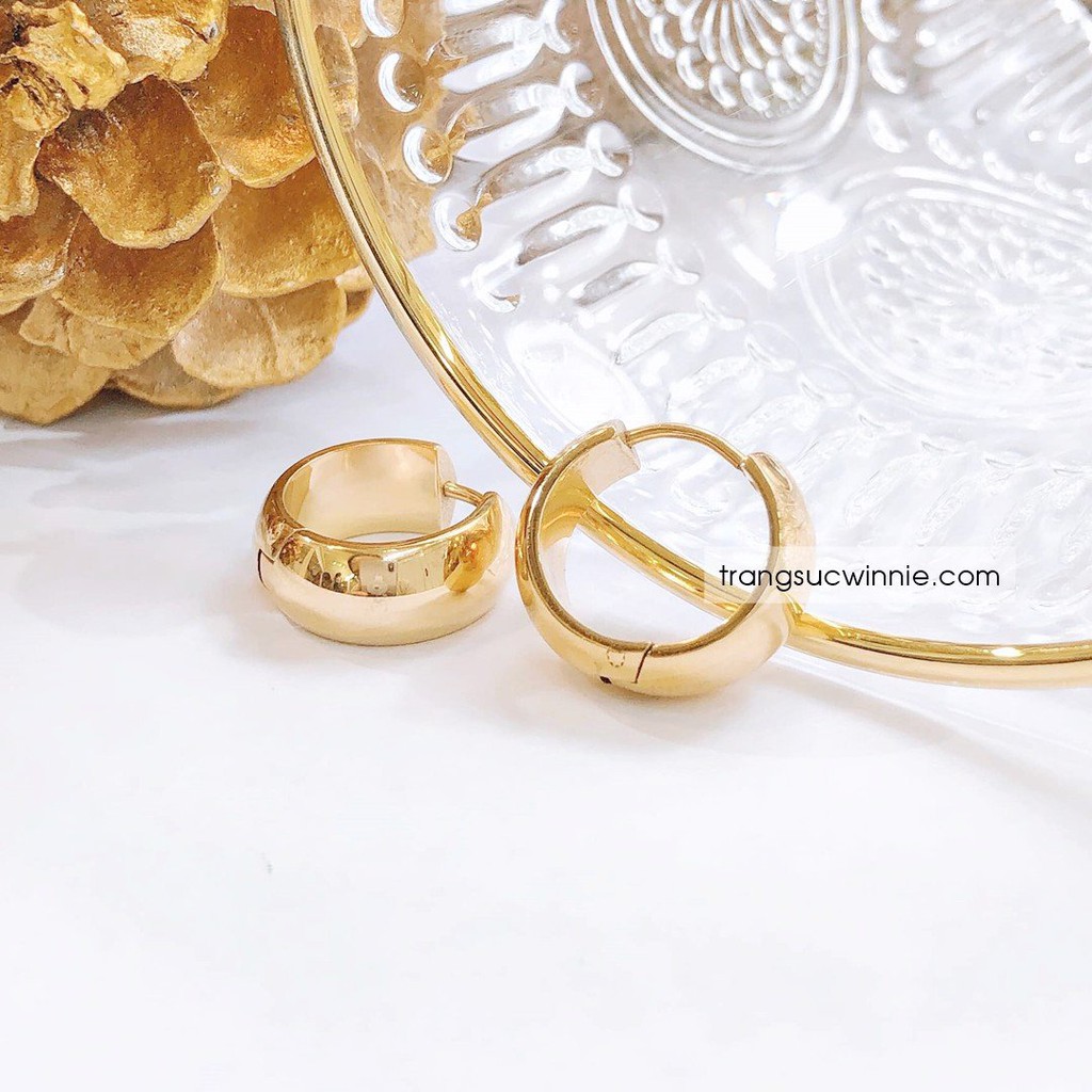 Hoa tai nữ titan loud VG